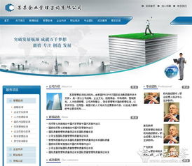 管理咨詢 引領(lǐng)企業(yè)轉(zhuǎn)型與卓越的智慧引擎