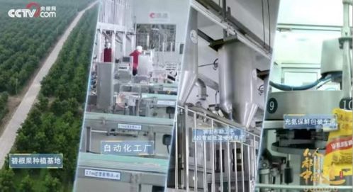 實(shí)力領(lǐng)航 洽洽食品榮膺“十四五”標(biāo)桿企業(yè)與領(lǐng)軍人物雙重大獎(jiǎng)